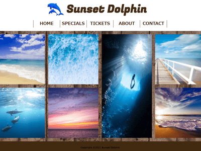 Sunset Dolphin